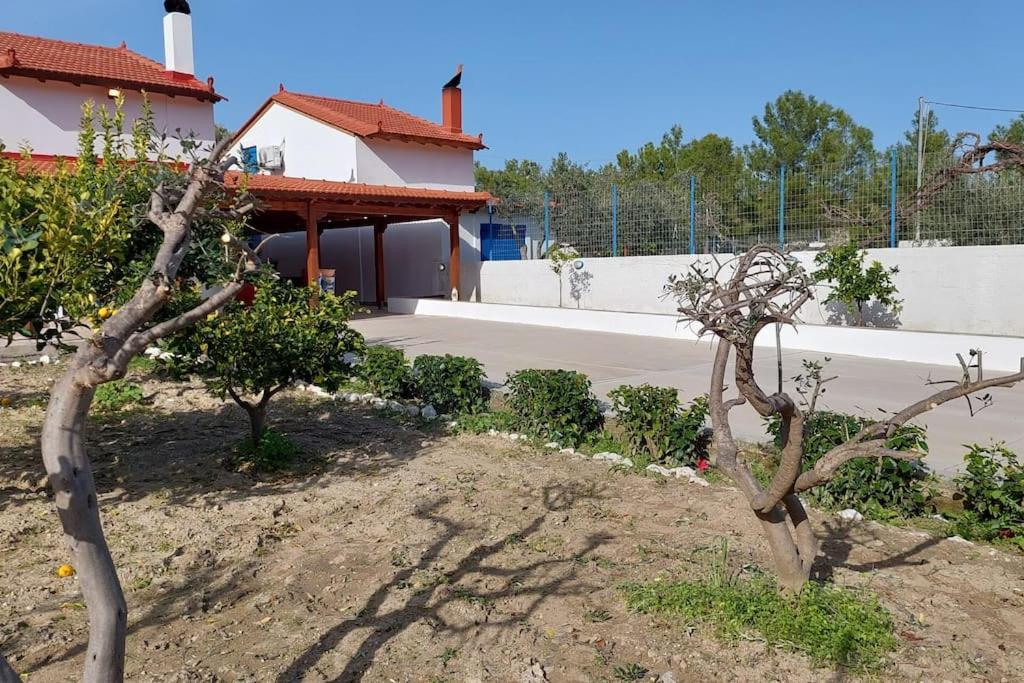 Aleyna House Lindos Area Líndos Exterior foto